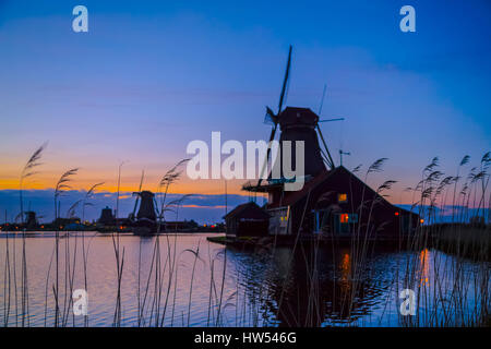 Paesaggio al tramonto con mulini a vento e il campo di erbe selvatiche e fiori. Sagome di mulini olandesi vicino al lago al tramonto in un paesaggio rurale. Tramonto in l Foto Stock