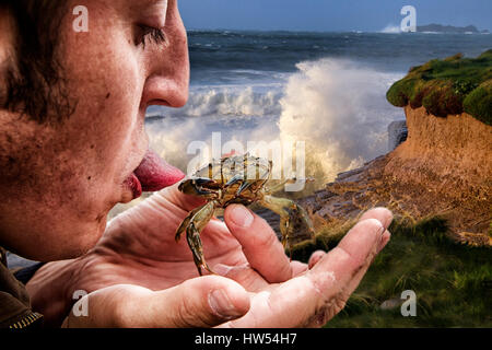 Appena pescato granchi tenuto in una mano d'uomo Foto Stock