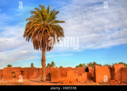 Il Palm Grove a Ouarzazate, Marocco Foto Stock