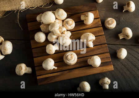 Materie organiche pulsante bambino funghi pronti a cuocere con Foto Stock