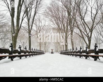 Tempesta di neve a Central Park, Manhattan, New York, America, STATI UNITI D'AMERICA Foto Stock