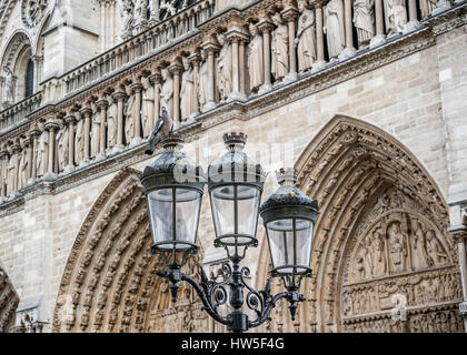 Francia Paris. Pigeon seduto su una lampada in background della facciata principale della cattedrale di Notre Dame de Paris. Foto Stock