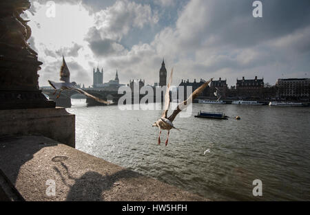 Londra vista attraverso il Tamigi e il Big Ben Foto Stock