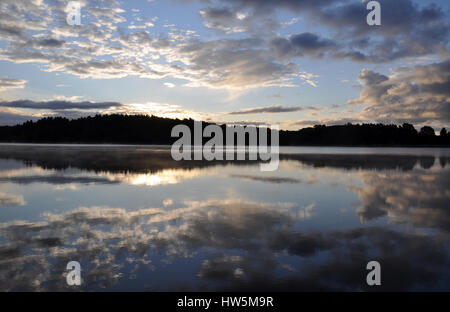 Prima dell'alba sul lago in campagna polacca - cielo nuvoloso e silhouette di foresta Foto Stock