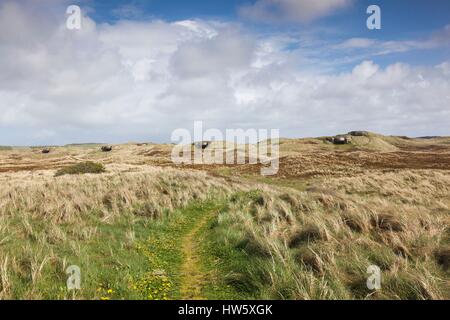 Danimarca, nello Jutland, Hantsholm, WW2-ser tedesco Atlantic Wall bunker e artiglieria costiera Foto Stock