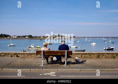 Francia, Morbihan, Damgan, Penerf, giovane a guardare le barche sul fiume Penerf, penna Cadenic (Le Tour du Parc) in background Foto Stock