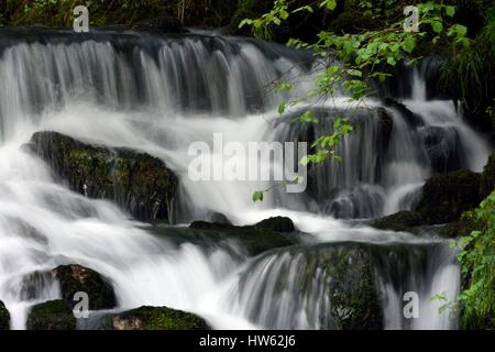 Francia, Doubs, la valle Doue Abbevillers, Glay, cascata in primavera Foto Stock