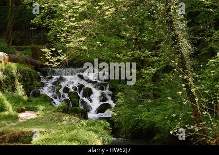 Francia, Doubs, la valle Doue Abbevillers, Glay, cascata in primavera Foto Stock