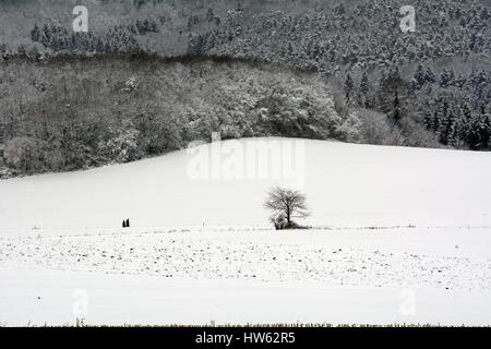 Francia, Doubs, Villars sous Ecot, paesaggio innevato, albero singolo e caratteri silhouette a piedi Foto Stock