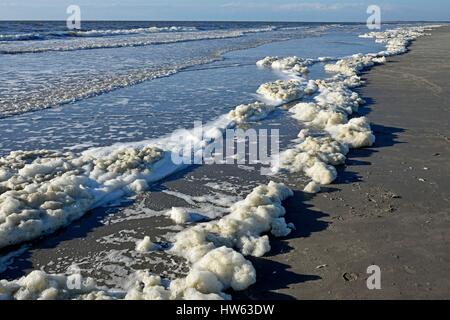 Francia, Somme, Baie de Somme, schiuma sulla spiaggia di Pointe du Houdel Foto Stock