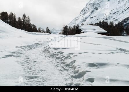 Swiss, Vallese, Herens valley, Evolene, La Salvia per La Forclaz percorso Foto Stock