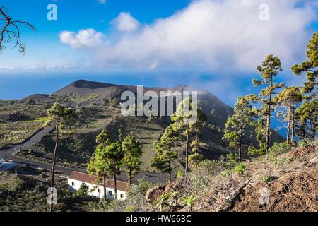 Spagna Isole Canarie La Palma isola dichiarata Riserva della Biosfera dall'UNESCO, Los Canarios (Fuencaliente), San Antonio vulcano Foto Stock