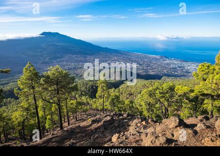 Spagna Isole Canarie La Palma isola dichiarata Riserva della Biosfera dall'Unesco Parco Nazionale della Caldera de Taburiente escursionismo a Pico Foto Stock