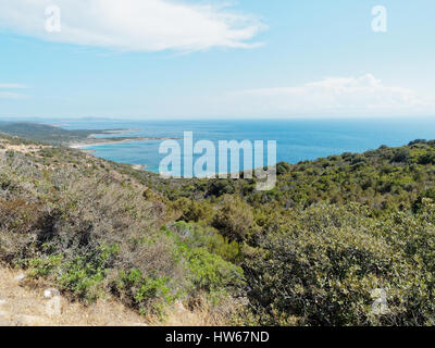 Vista della costa della Corsica vicino a Bonifacio denominato Reserve Naturelle des Bouches de Bonifacio, Corsica, Francia, Mediterranea Foto Stock