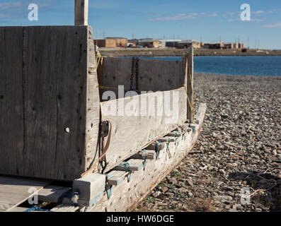 Sled Dog in Uluhaktkok, NWT Canada Foto Stock