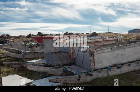 Sled Dog in Uluhaktkok, NWT Canada Foto Stock