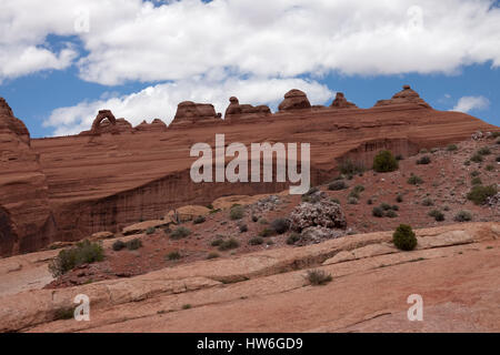 Paesaggio nel Parco Nazionale di Arches con fossili di pietra arenaria, Utah, Stati Uniti d'America Foto Stock