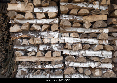 Woodpile di legno di betulla Foto Stock