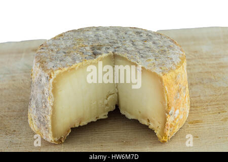 La forma di formaggio a pasta dura di una crosta bloomy latte di capra, il gelo crosta, di trattamento attraverso un apposito stampo del genere Penicillium, come Penicillium camemb Foto Stock