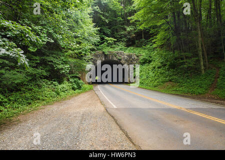 Un arcuato tunnel in pietra circondato da verdi alberi su Blue Ridge Parkway vicino a Asheville, Carolina del Nord Foto Stock