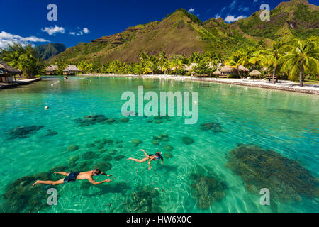 Coppia giovane snorkeling sulla barriera corallina vicino al resort su un isola tropicale Foto Stock