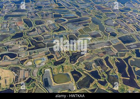 Francia, Loire Atlantique, Guerande, Guerande saline (vista aerea) Foto Stock