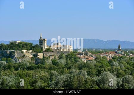 Francia, Vaucluse, vista su Avignone da Villeneuve lez Avignon Foto Stock