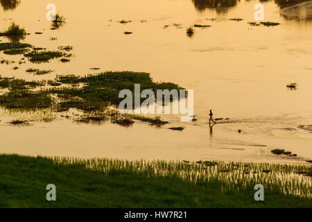 Madagascar, regione di Menabe, Miandrivazo, fiume Tsiribihina Foto Stock