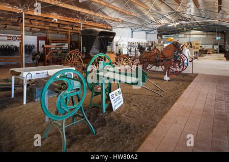 In Australia, in Sud Australia, Yorke Peninsula, Kadina, Capannone Farm Museum, interno, macchine agricole Foto Stock