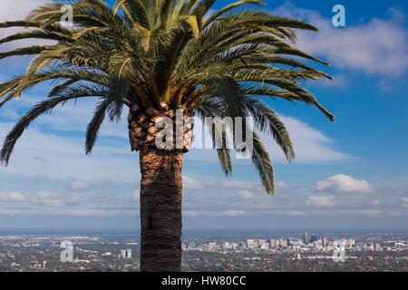 In Australia, in Sud Australia, Adelaide Hills, Crafers, elevati skyline di Adelaide dal Monte Lofty Summit Foto Stock