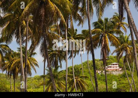 Saint Vincent e Grenadine, Bequia, industria Bay, house Foto Stock