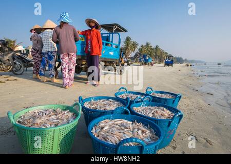 Il Vietnam del Sud Costa Centrale Regione, frazioni di Nha Trang, Doc Let village, di ritorno dalla pesca Foto Stock