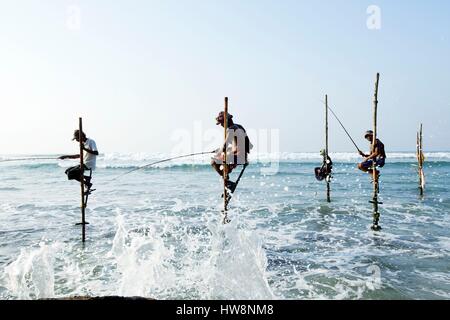 Sri Lanka, della Provincia Meridionale, Matara district, Ahangama, la pesca tradizionale su palafitte (stilt pescatori) Foto Stock