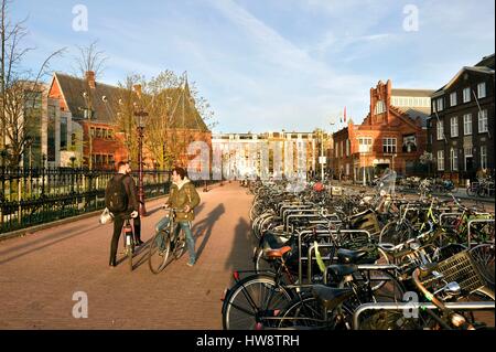 Paesi Bassi Olanda Settentrionale, Amsterdam, Museumplein e il quartiere dei musei Foto Stock