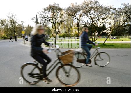 Paesi Bassi Olanda Settentrionale, Amsterdam, Parco di Vondel Foto Stock