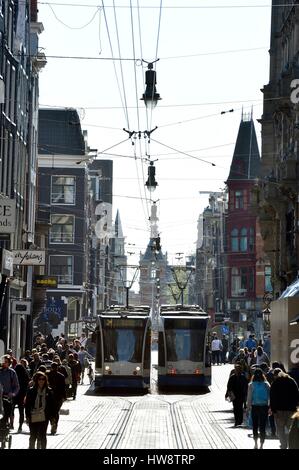 Paesi Bassi Olanda Settentrionale, Amsterdam, tram su Leidsestraat Foto Stock