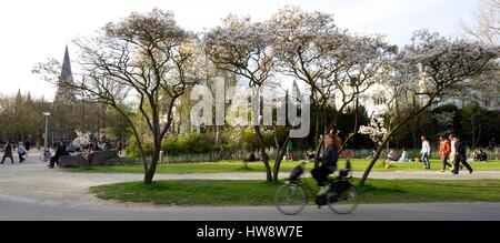 Paesi Bassi Olanda Settentrionale, Amsterdam, Parco di Vondel Foto Stock
