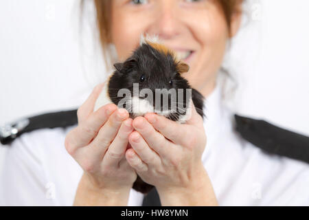 Salvataggio animale lavoratore tenendo la cavia Foto Stock