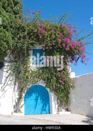 Splendido dipinto di vintage otturatore in un villaggio di Sidi Bouzid Tunisi Foto Stock