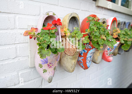 Tradizionale artigianale olandese scarpe di legno su un muro di mattoni pieni di fiori. Foto Stock