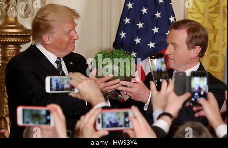 Taoiseach Enda Kenny presenta il presidente statunitense Donald Trump con una ciotola di Shamrock durante l'annuale cerimonia di presentazione alla Casa Bianca di Washington, Stati Uniti d'America. Foto Stock