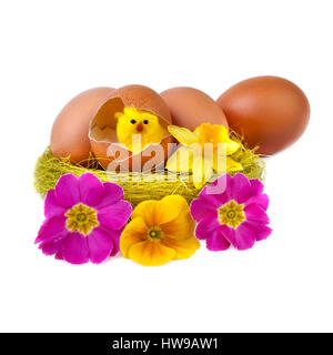 Funny Easter Egg decorazione con pulcino giallo e fiori Foto Stock