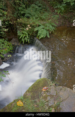 Weir legno Mill Foto Stock