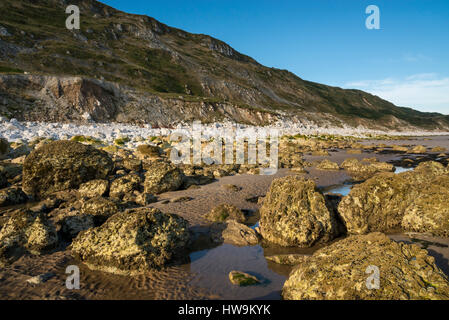 Le scogliere a sud della fine Filey Bay. Ben noto sito per geologi e cacciatori di fossili sulla costa del North Yorkshire. Foto Stock