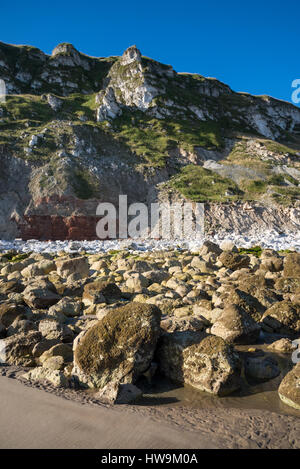 Le scogliere a sud della fine Filey Bay. Ben noto sito per geologi e cacciatori di fossili sulla costa del North Yorkshire. Foto Stock