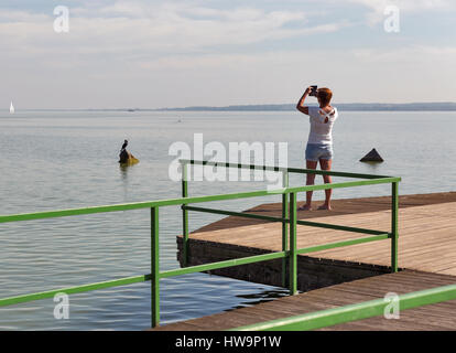 Conciato al bianco donna di mezza età scatta foto di wild black duck sulla pietra con smart phone sul lago Balaton, Keszthely, Ungheria. Foto Stock