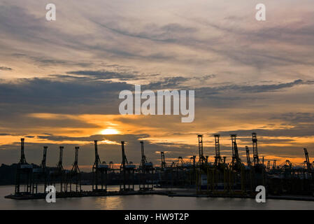 Vista orizzontale di Tanjong Pagar Container Terminal a Singapore al tramonto. Foto Stock