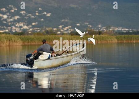 Francia, Haute Corse, pescatore in una barca sullo stagno di Biguglia (Stagnu di Chiurlinu) e garzetta (Egretta garzetta), la riserva naturale della Corsica (RNC) Foto Stock