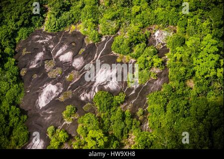 Francia, Guyana Guyana Francese Parco amazzonico, area del cuore, una savana rock nella stagione delle piogge (vista aerea) Foto Stock