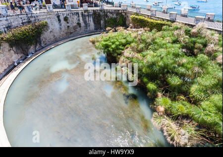 Siracusa, Italia - luglio 3, 2011: vista persone di Fonte Aretusa (molla di Arethusa) nella città di Siracusa in Sicilia. Nella mitologia greca, Arethusa era Foto Stock